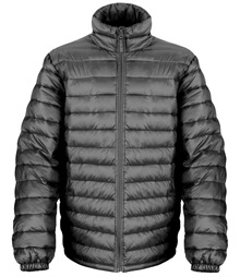 Ice bird padded jacket