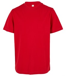 Organic kids basic tee